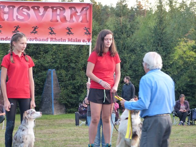 Agility-DM 2018