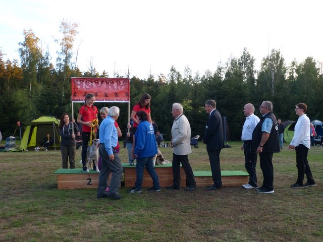 Agility-DM 2018