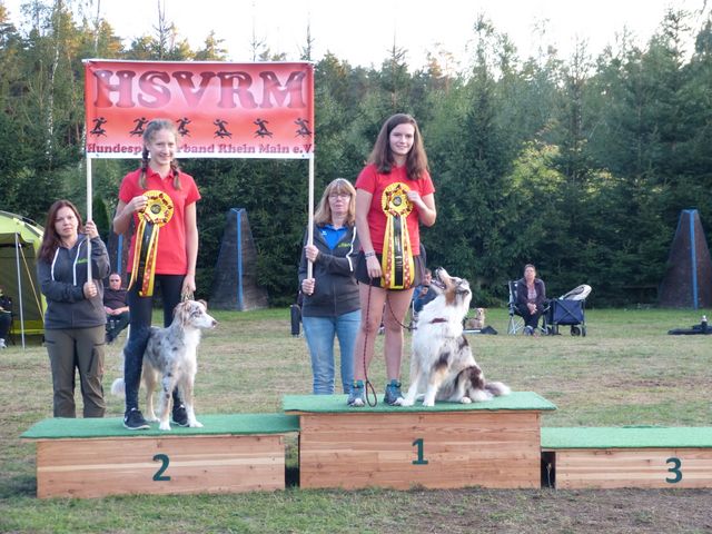 Agility-DM 2018