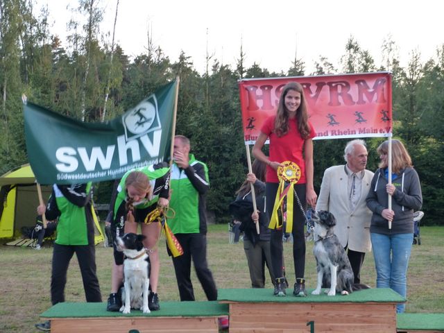 Agility-DM 2018