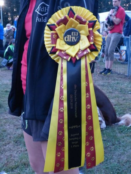 Agility-DM 2018