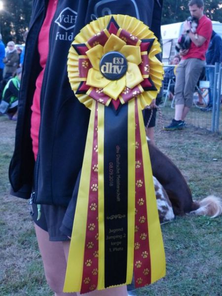 Agility-DM 2018