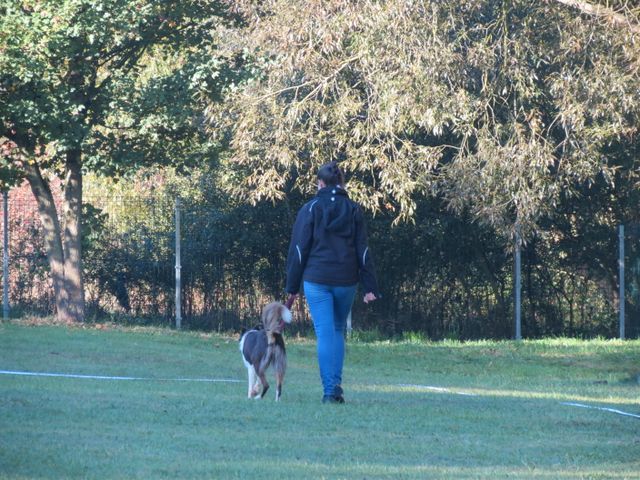 BH-Pruefung-Herbst 2018