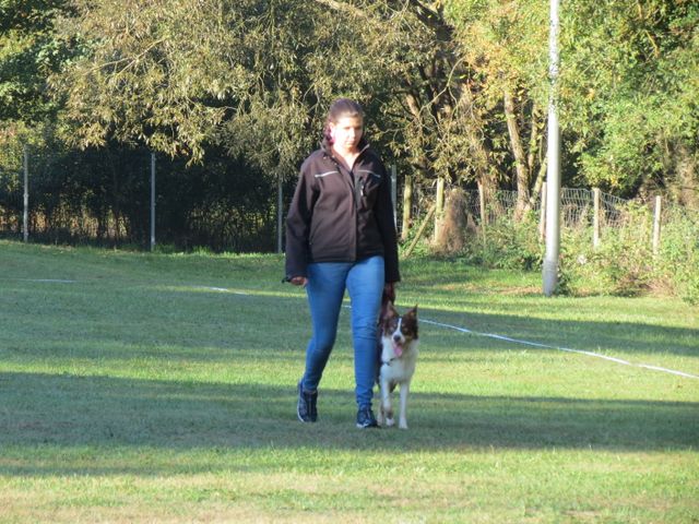 BH-Pruefung-Herbst 2018