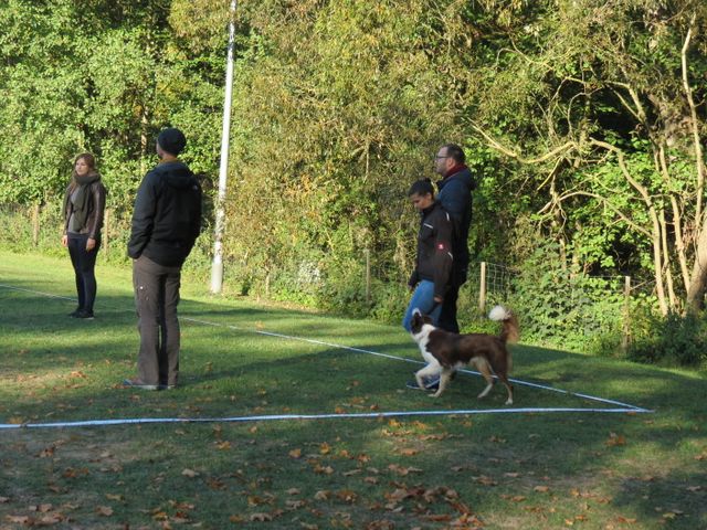 BH-Pruefung-Herbst 2018