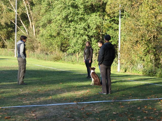 BH-Pruefung-Herbst 2018