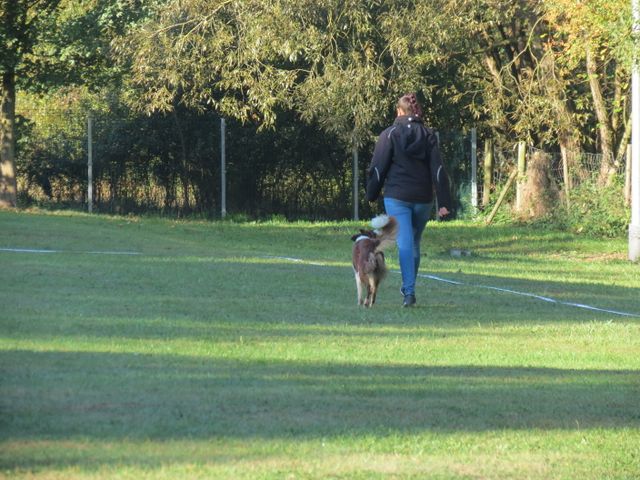 BH-Pruefung-Herbst 2018