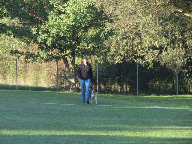 BH-Pruefung-Herbst 2018