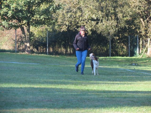 BH-Pruefung-Herbst 2018