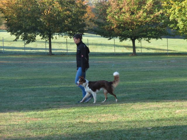 BH-Pruefung-Herbst 2018
