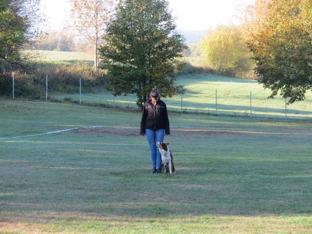 BH-Pruefung-Herbst 2018