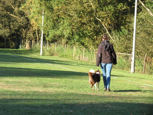 BH-Pruefung-Herbst 2018