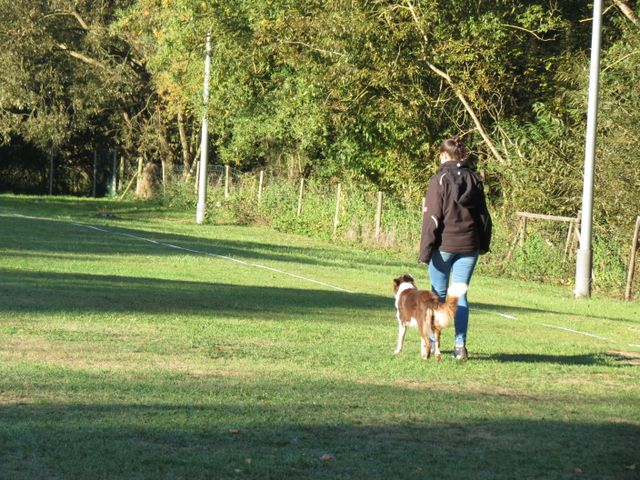 BH-Pruefung-Herbst 2018