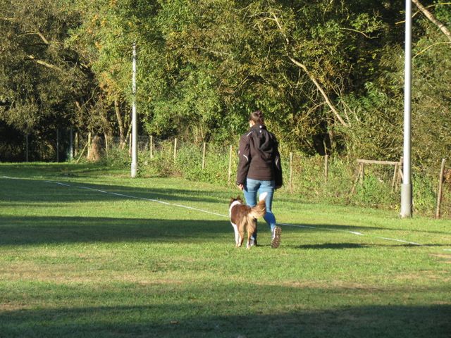 BH-Pruefung-Herbst 2018
