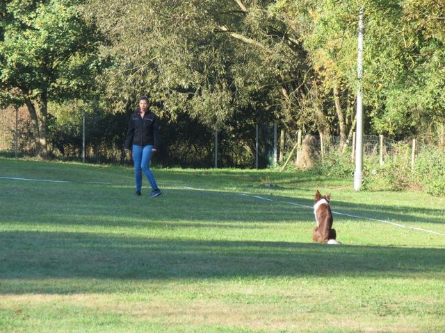 BH-Pruefung-Herbst 2018