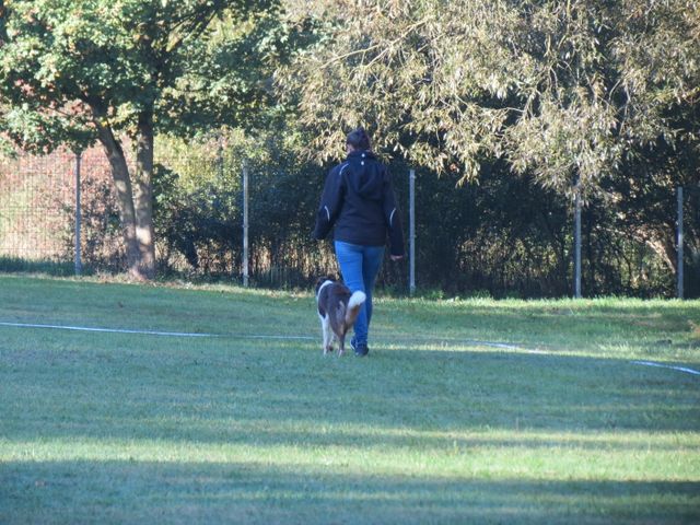 BH-Pruefung-Herbst 2018