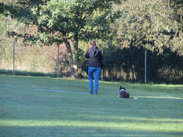 BH-Pruefung-Herbst 2018