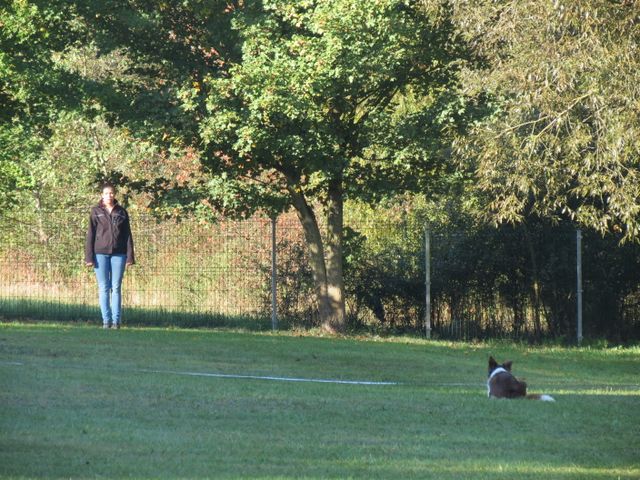 BH-Pruefung-Herbst 2018