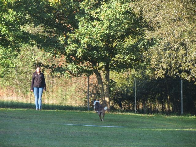 BH-Pruefung-Herbst 2018