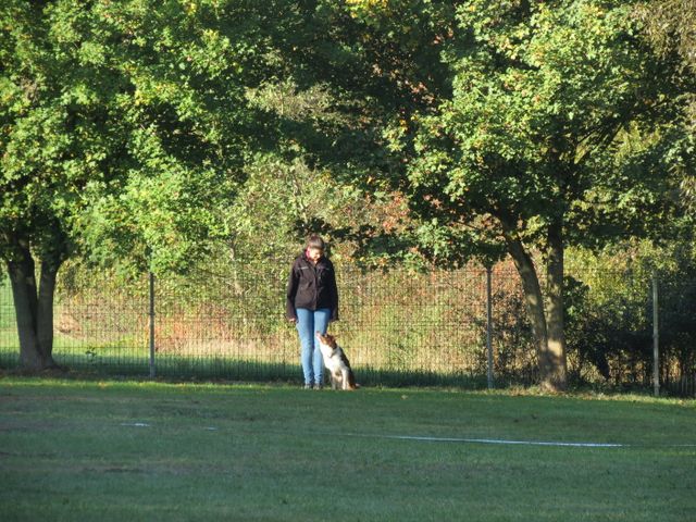 BH-Pruefung-Herbst 2018