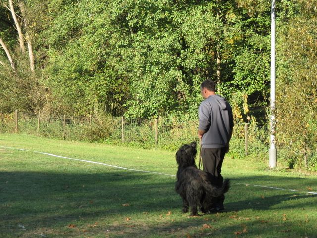BH-Pruefung-Herbst 2018