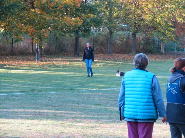 BH-Pruefung-Herbst 2018