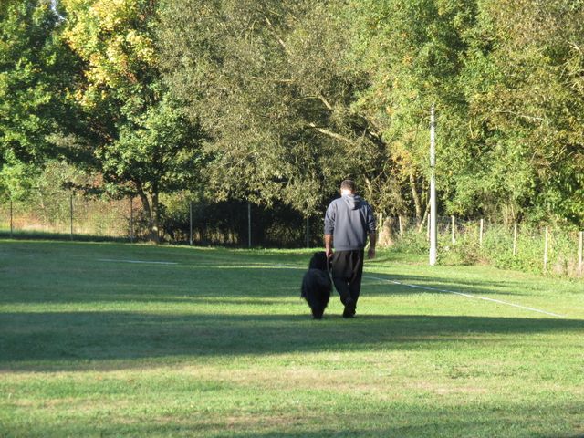 BH-Pruefung-Herbst 2018