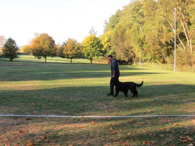 BH-Pruefung-Herbst 2018