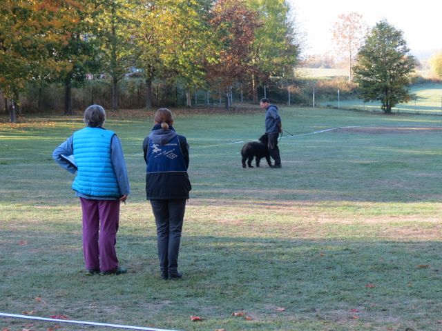 BH-Pruefung-Herbst 2018