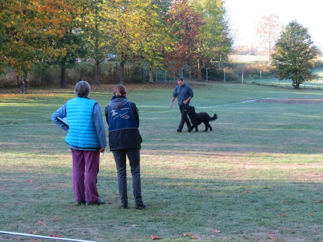 BH-Pruefung-Herbst 2018
