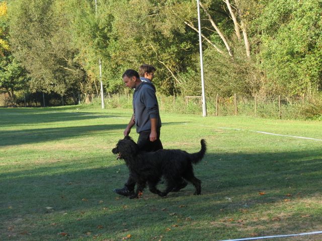 BH-Pruefung-Herbst 2018
