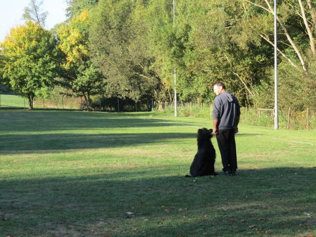 BH-Pruefung-Herbst 2018