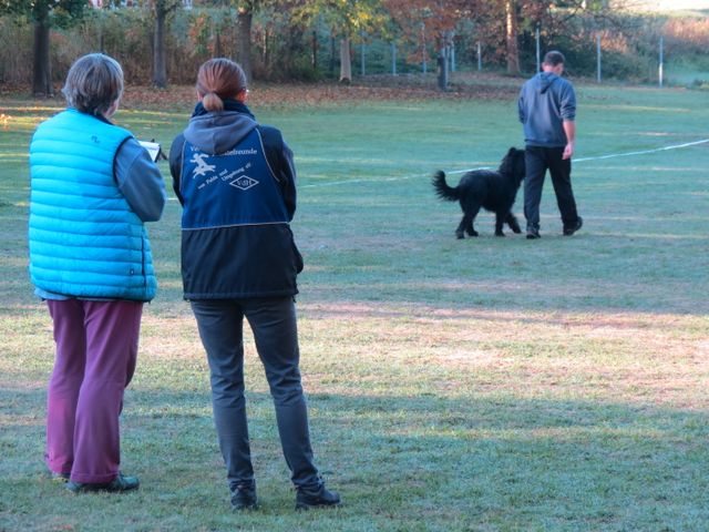 BH-Pruefung-Herbst 2018