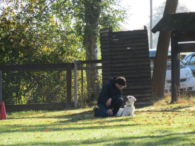 BH-Pruefung-Herbst 2018