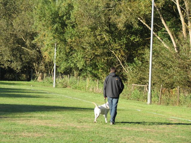 BH-Pruefung-Herbst 2018