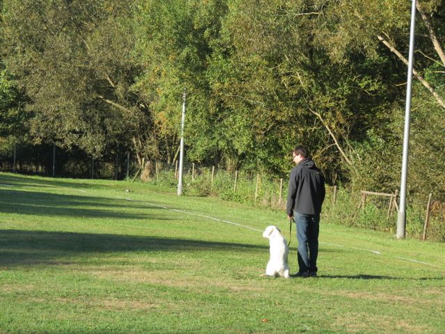 BH-Pruefung-Herbst 2018