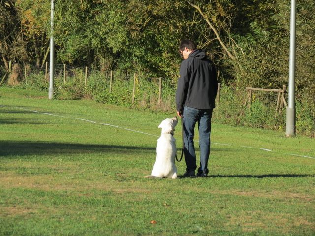 BH-Pruefung-Herbst 2018