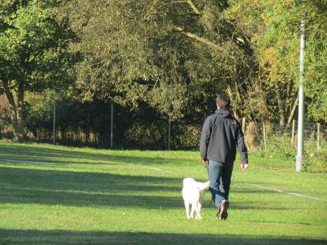 BH-Pruefung-Herbst 2018