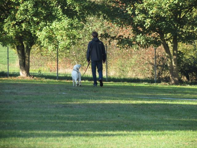 BH-Pruefung-Herbst 2018