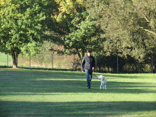 BH-Pruefung-Herbst 2018
