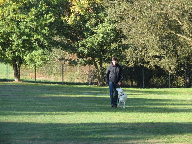 BH-Pruefung-Herbst 2018