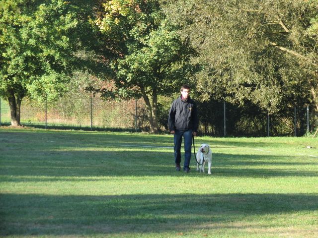 BH-Pruefung-Herbst 2018