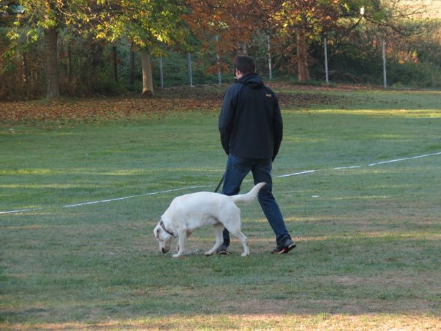 BH-Pruefung-Herbst 2018