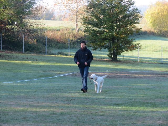 BH-Pruefung-Herbst 2018