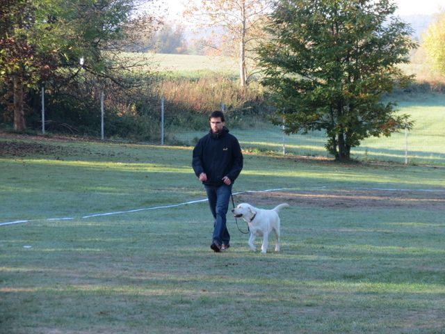 BH-Pruefung-Herbst 2018