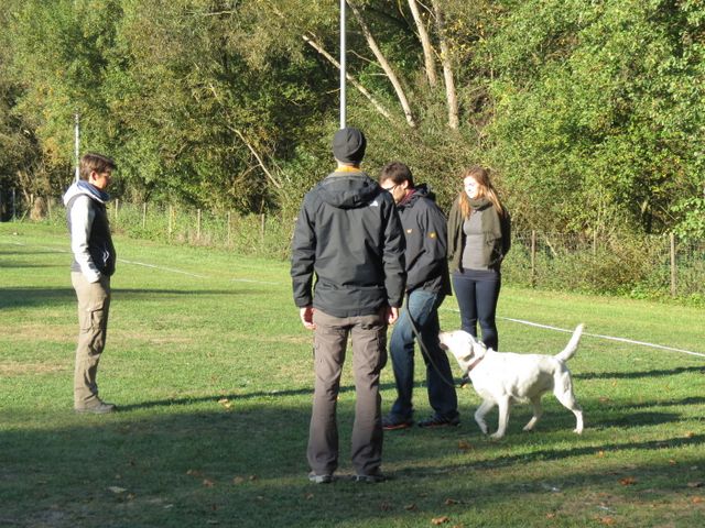 BH-Pruefung-Herbst 2018