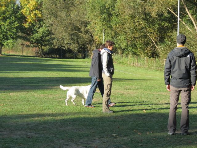 BH-Pruefung-Herbst 2018