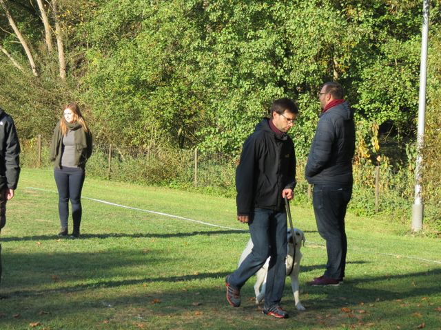 BH-Pruefung-Herbst 2018