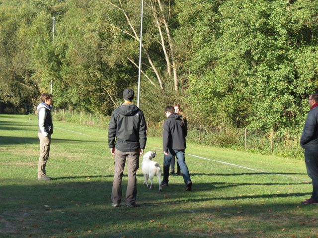 BH-Pruefung-Herbst 2018