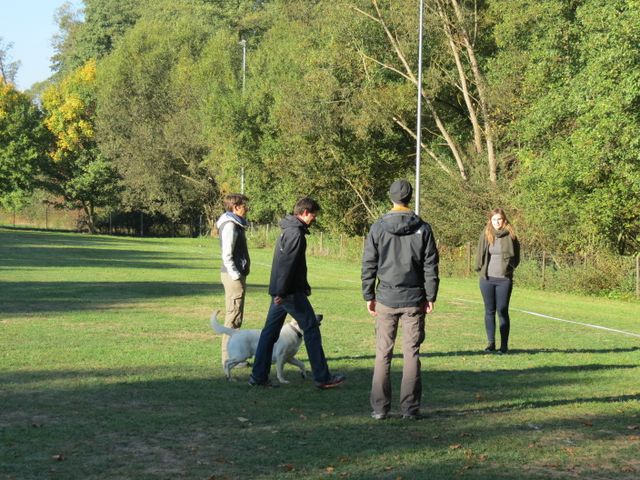 BH-Pruefung-Herbst 2018